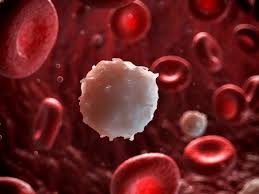 Natural Killer Cells Therapeutics Market Growing at a CAGR of around 16.9% between 2019 and 2025