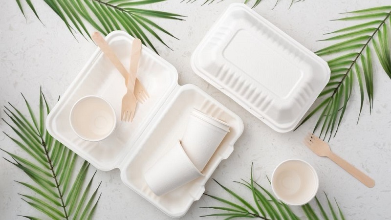 7 Benefits Of Using Eco Friendly Food Packaging Over An Ordinary One