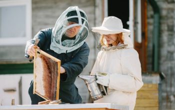 Protective Beekeeping Gear