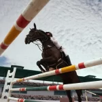 Horse Jump Accessories